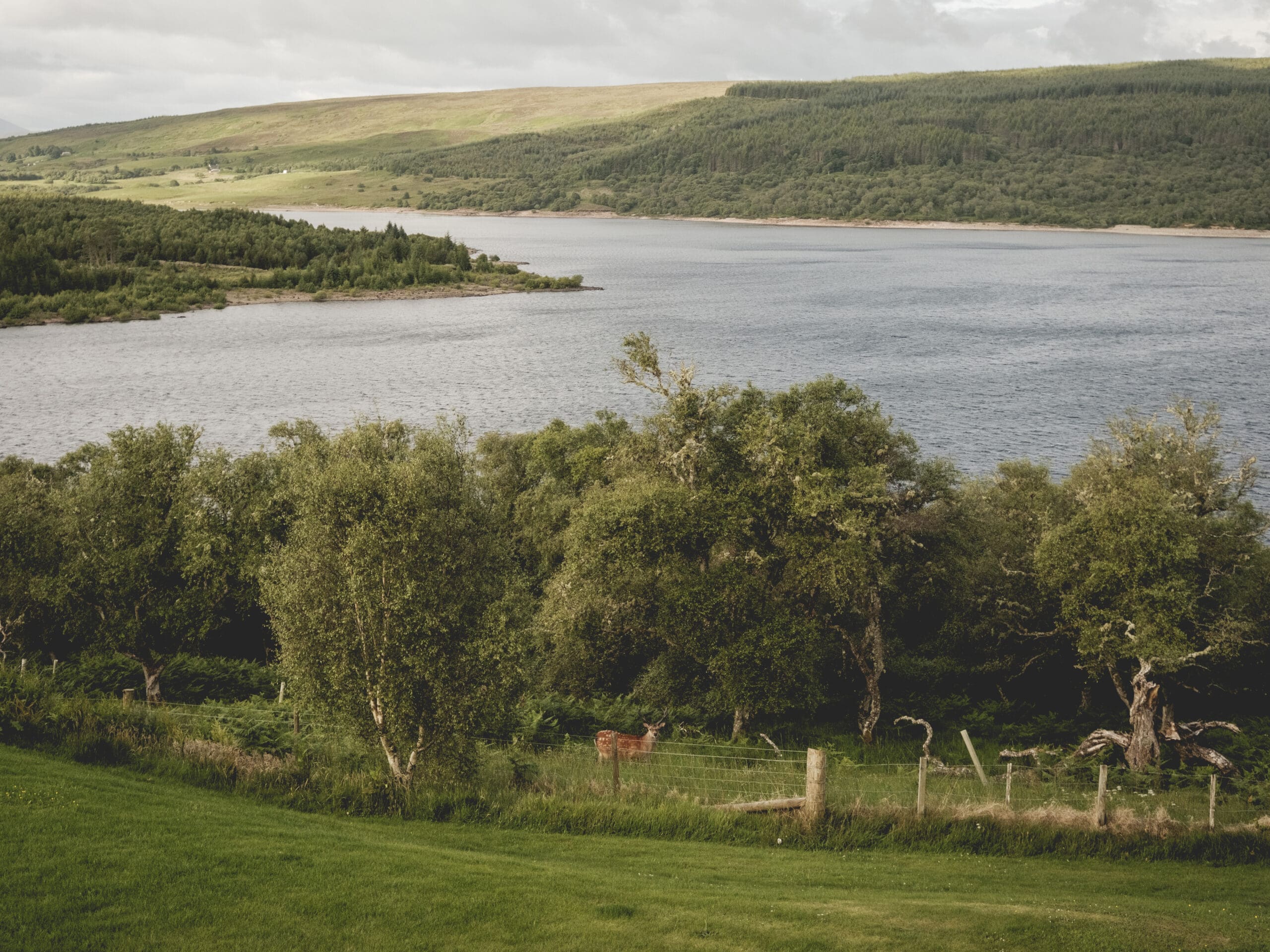 High Res_Billy Bolton_Lairg Lodge_fuji_120